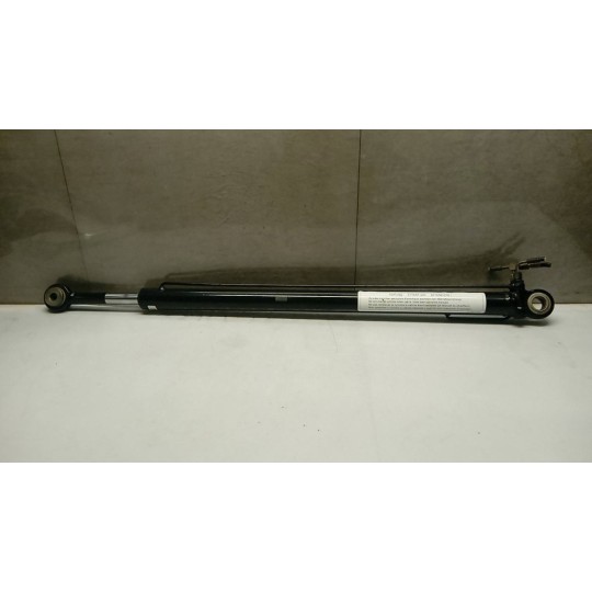 PISTONE ALZA CABINA MAN TGX euro 6 usato