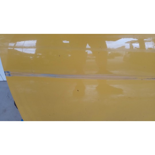PORTA ANTERIORE SINISTRA FIAT F.500 2007>2015 usato