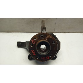 COMPLETE LEFT UPRIGHT OPEL...