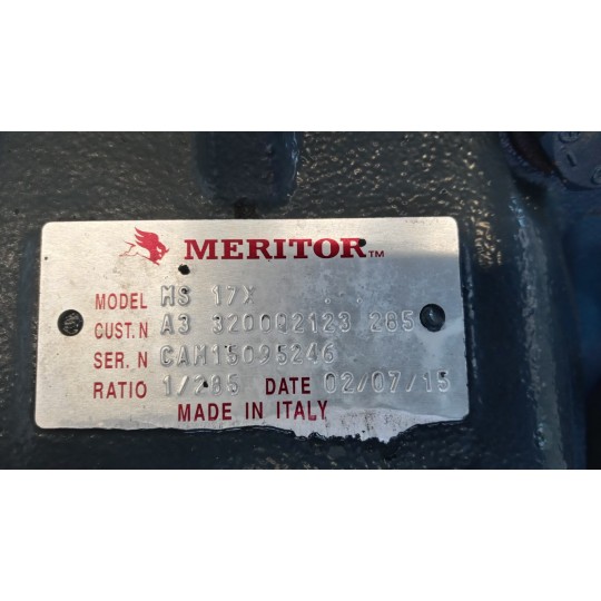 GRUPPO DIFFERENZIALE POSTERIORE IVECO Stralis 2013> usato