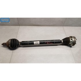 SEMIASSE ANTERIORE DESTRO...