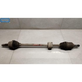 SEMIASSE ANTERIORE DESTRO...