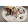 FORD PUMPS TANK FORD Fiesta 2017> used