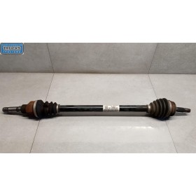 SEMIASSE ANTERIORE DESTRO...