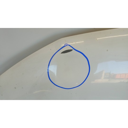 COFANO ANTERIORE DACIA Sandero 2012>2020 usato