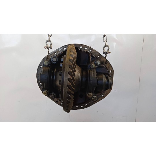 GRUPPO DIFFERENZIALE POSTERIORE DAF 75CF usato