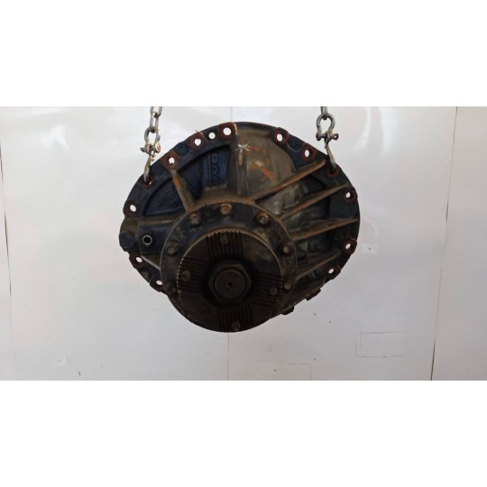 GRUPPO DIFFERENZIALE POSTERIORE DAF 75CF usato