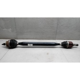 SEMIASSE ANTERIORE DESTRO...