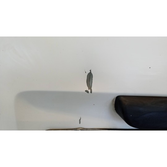 PORTACARICO POST SINISTRO RENAULT van Trafic 2007>2010 usato