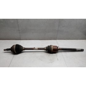 SEMIASSE ANTERIORE DESTRO...