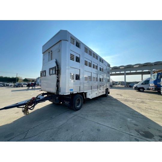 V.I. rimorchi e semi RIMORCHIO MICHIELETTO RM 20 CPB