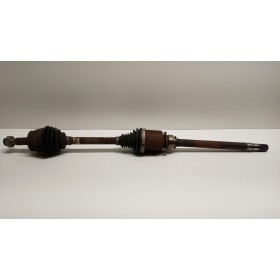 SEMIASSE ANTERIORE DESTRO...