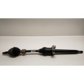 SEMIASSE ANTERIORE DESTRO...