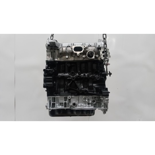 ENGINE FORD van Transit 2019> used