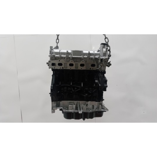 ENGINE FORD van Transit 2019> used