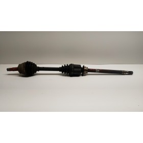 SEMIASSE ANTERIORE DESTRO...