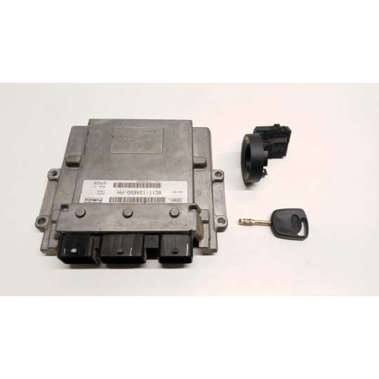 CENTRALINA MOTORE FORD van Transit 2006>2014 usato