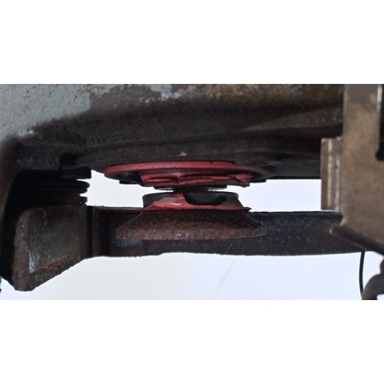 PINZA POSTERIORE SINISTRA DAF XF105 usato