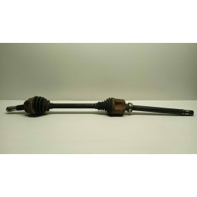 SEMIASSE ANTERIORE DESTRO...