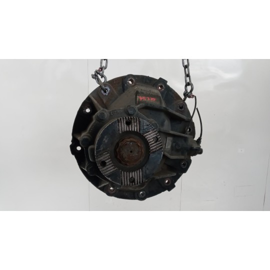 GRUPPO DIFFERENZIALE POSTERIORE MAN TGX  usato