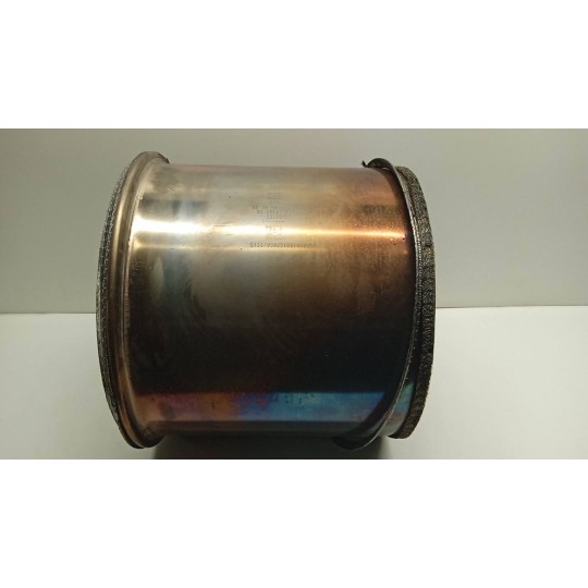 FILTRO ANTIPARTICOLATO MAN TGX euro 6 usato