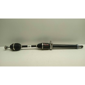 SEMIASSE ANTERIORE DESTRO...