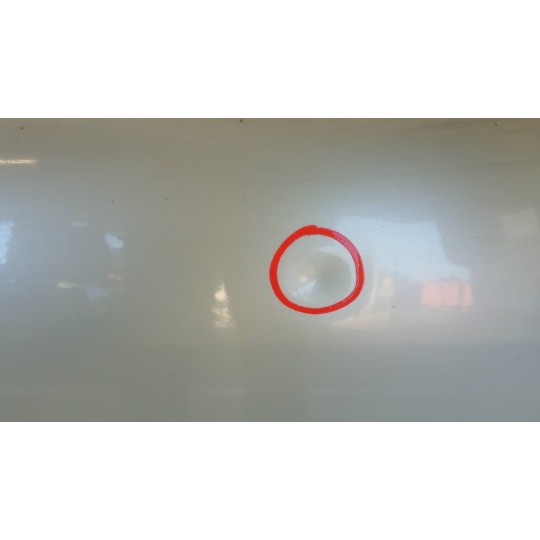 LEFT FRONT DOOR FIAT F.500 2007>2015 used