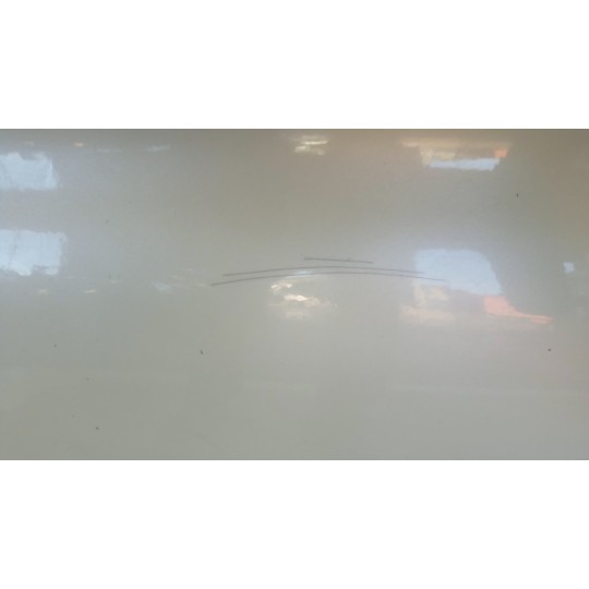 PORTA ANTERIORE SINISTRA FIAT F.500 2007>2015 usato