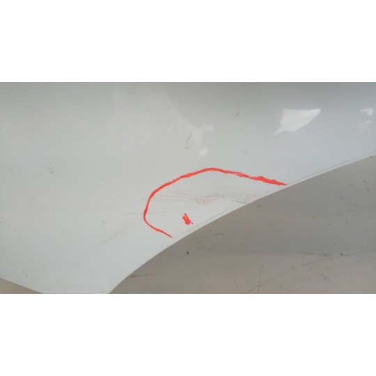 PARAFANGO ANTERIORE SINISTRO FORD Fiesta 2008>2013 usato