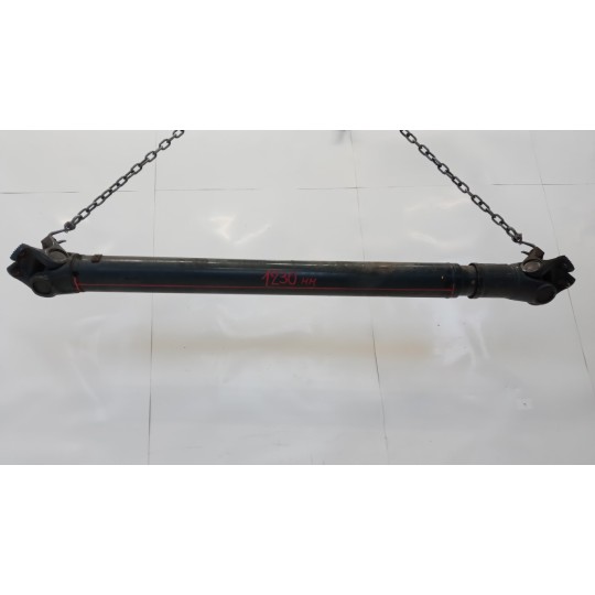 ALBERO TRASMISSIONE POSTERIORE DAF XF106 usato