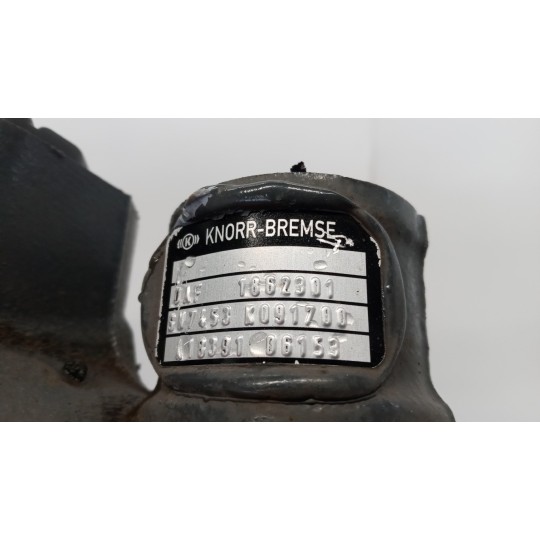 PINZA POSTERIORE DESTRA DAF XF106 usato