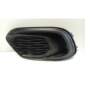 GRIGLIA PARAURTI ANT.SX...