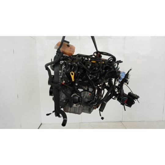 MOTORE FORD Fiesta 2008>2013 usato