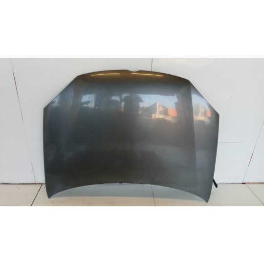 COFANO ANTERIORE VOLKSWAGEN Golf 5 2003>2008 usato