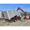 IVECO IVECO IVECO 100E18 RIBALTABILE E GRU CARICATRICE