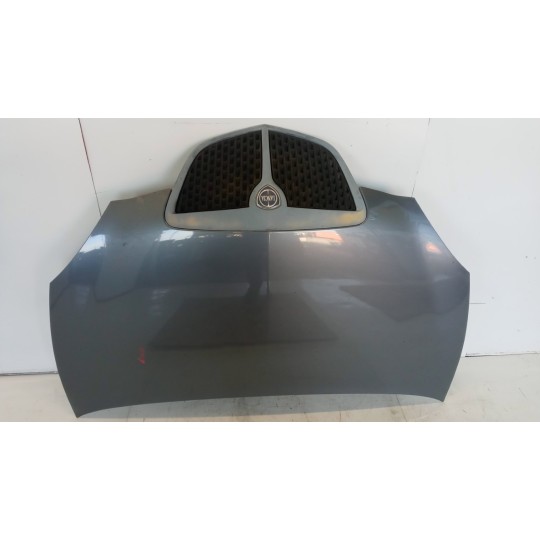 COFANO ANTERIORE LANCIA Ypsilon 2006>2011 usato
