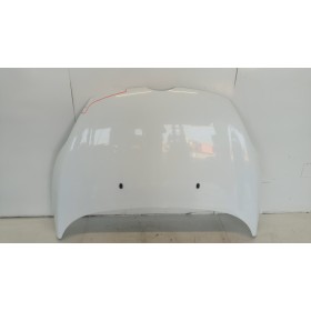 FRONT HOODS FORD Fiesta...