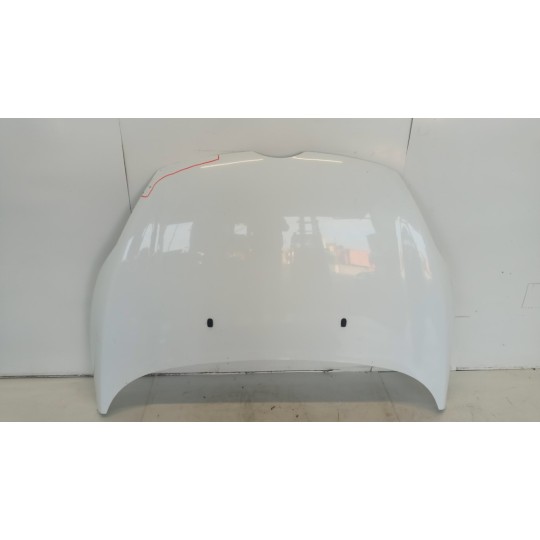 COFANO ANTERIORE FORD Fiesta 2008>2013 usato