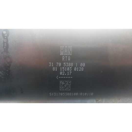 PARTICULATE FILTER MAN TGS used