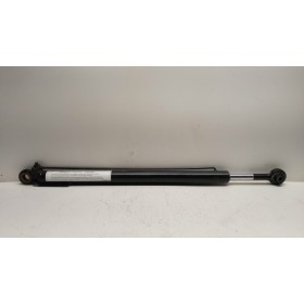 CAB LIFT PISTON  MAN TGM used