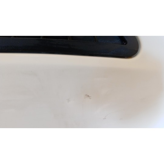 COFANO ANTERIORE VOLKSWAGEN van Crafter 2006>2016 usato