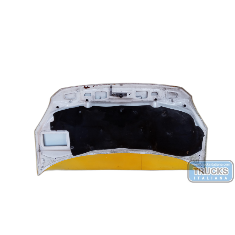VOLKSWAGEN van COFANO ANTERIORE VOLKSWAGEN van Crafter 2006>2016 usato