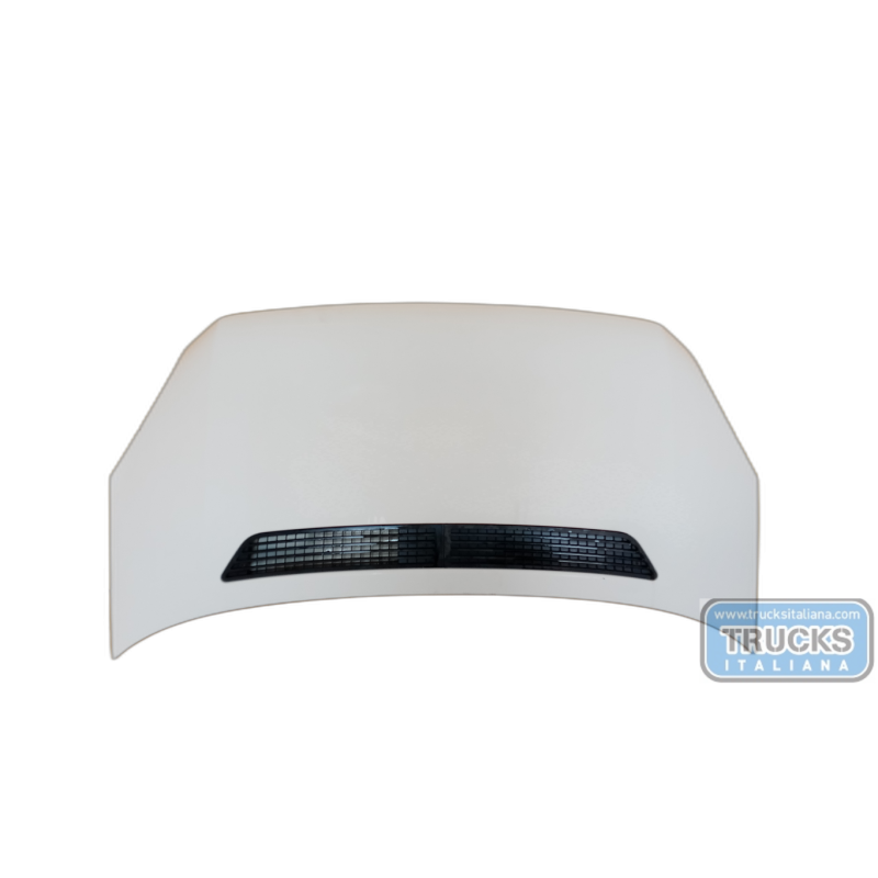 VOLKSWAGEN van COFANO ANTERIORE VOLKSWAGEN van Crafter 2006>2016 usato