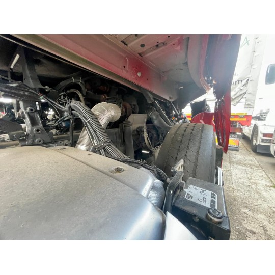DAF XG 480 FAN