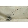 TOYOTA LATCH LOCK TOYOTA Yaris 2014>2017 used