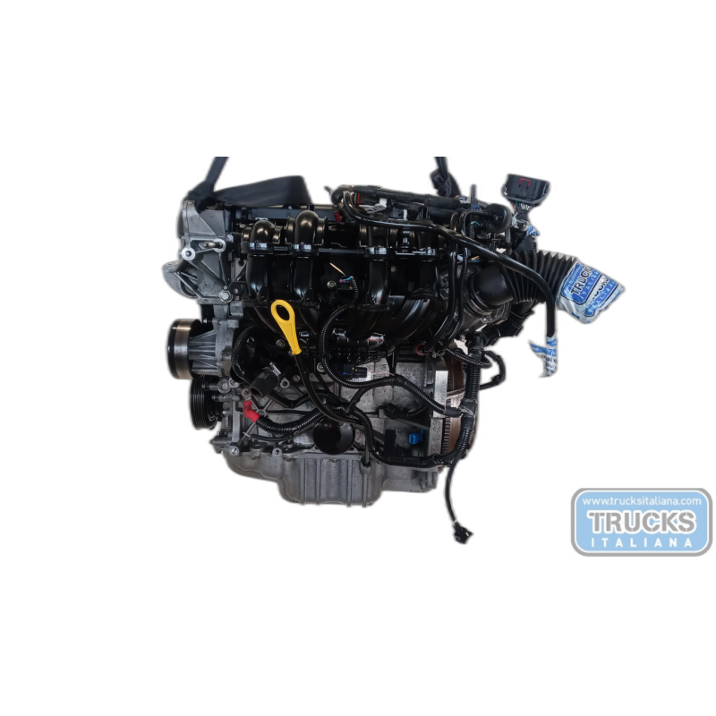 FORD MOTORE FORD Fiesta 2008>2013 usato