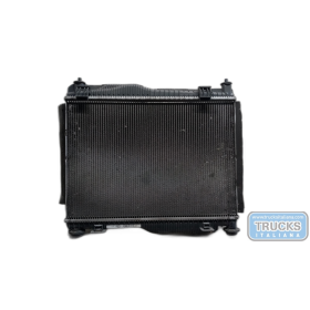 RADIATORE ACQUA FORD Fiesta...