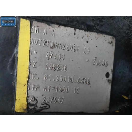 GRUPPO DIFFERENZIALE POSTERIORE MAN TGX  usato