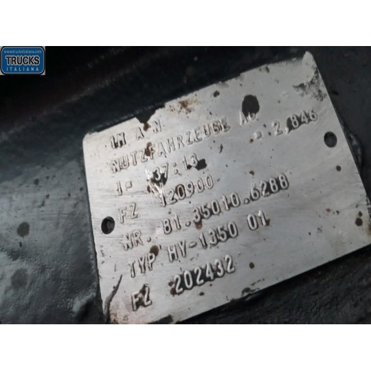 GRUPPO DIFFERENZIALE POSTERIORE MAN TGX  usato