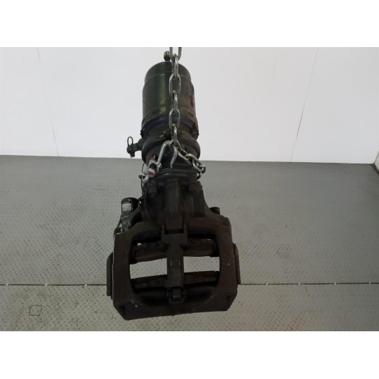 PINZA POSTERIORE DESTRA DAF XF106 usato